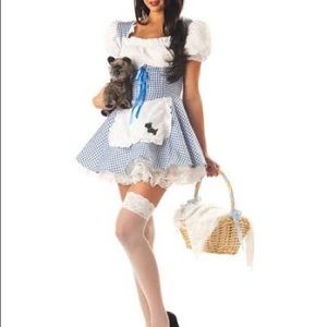 Wizard Of Oz Dorothy Costume